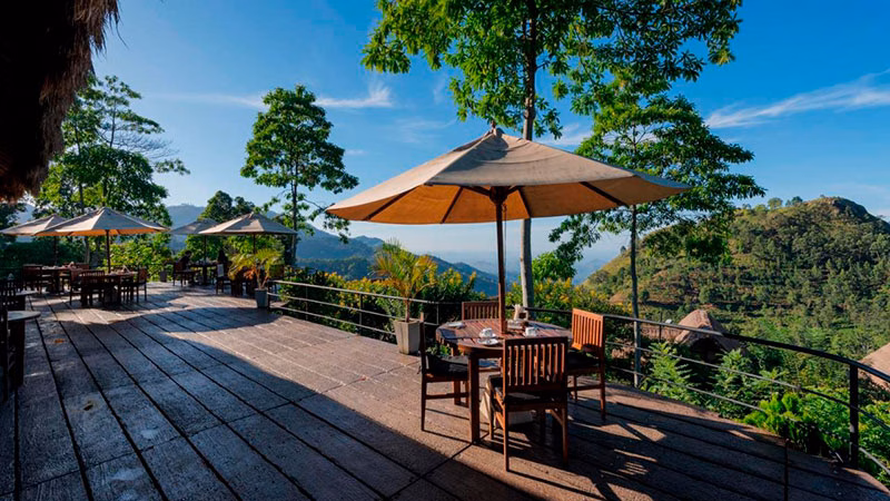 Acres Resort And Spa
