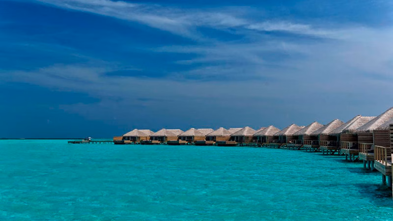 Cocoon Maldives