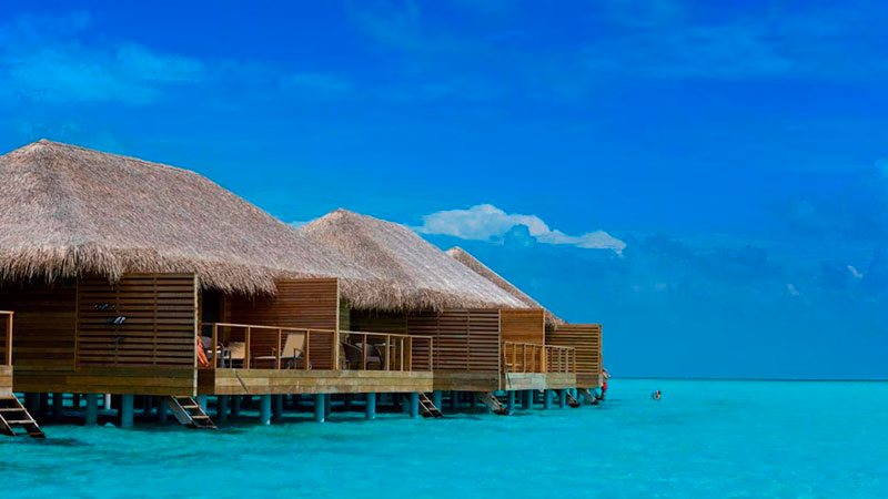 Cocoon Maldives