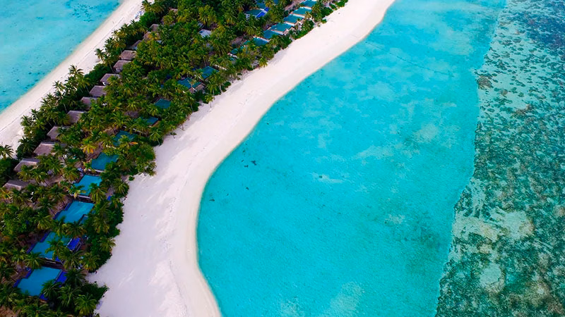 Cocoon Maldives