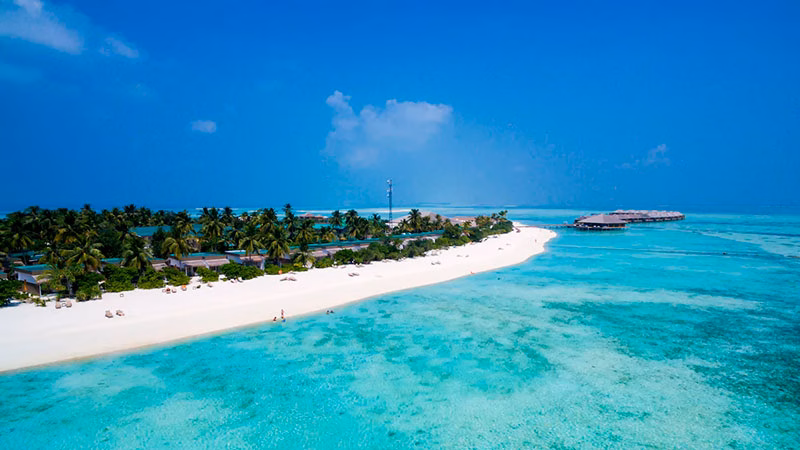Cocoon Maldives