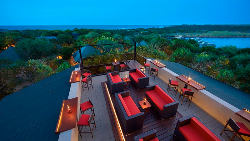 Cinnamon Wild Yala