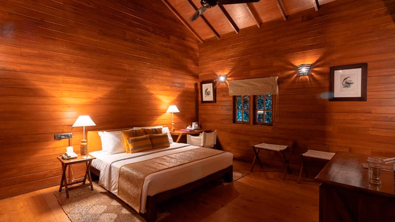 Cinnamon Wild Yala