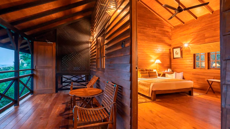 Cinnamon Wild Yala