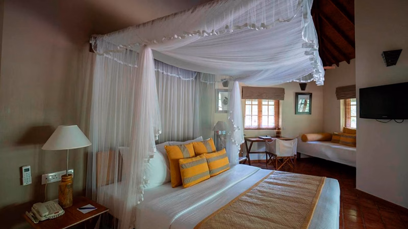 Cinnamon Wild Yala