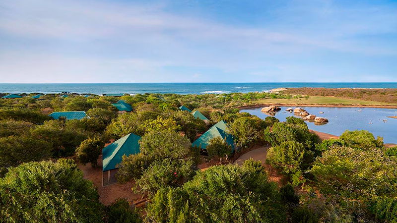 Cinnamon Wild Yala