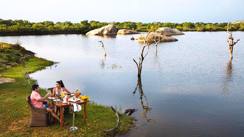 Cinnamon Wild Yala