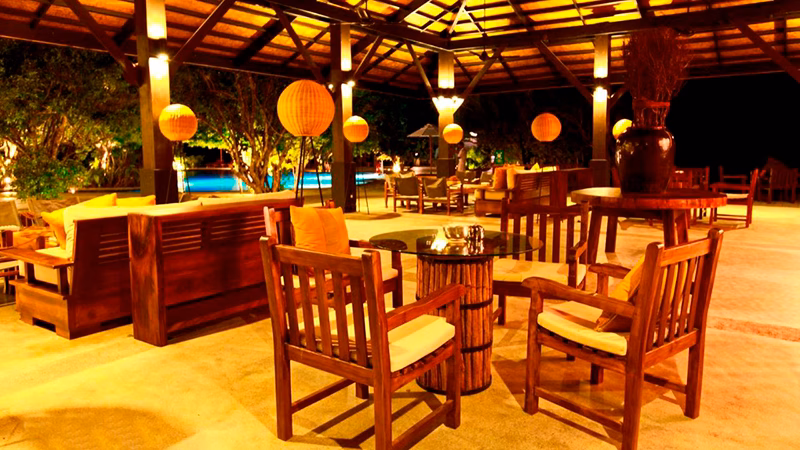 Cinnamon Wild Yala