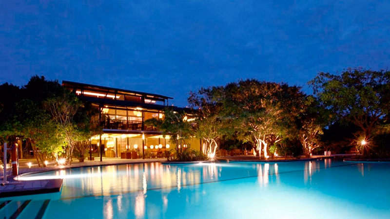 Cinnamon Wild Yala