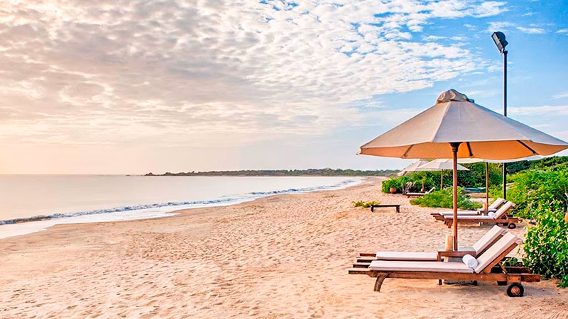 Uga Jungle Beach Resort