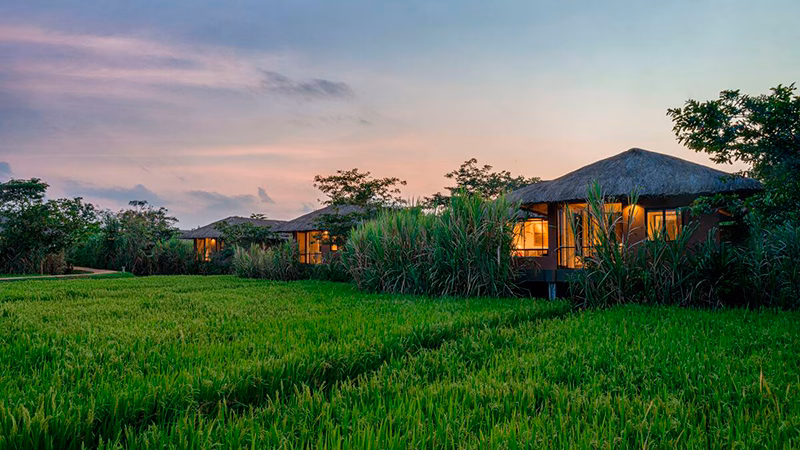 Water Garden Sigiriya