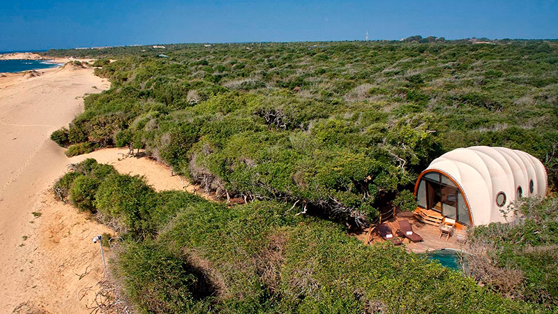Wild Coast Tented Lodge