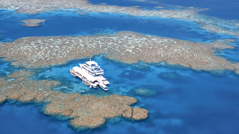 Green Island & Greet Barrier Reef eventyr