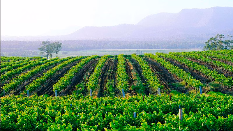 Hunter Valley Resort