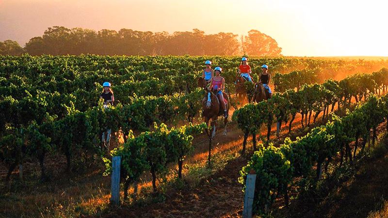 Hunter Valley Resort