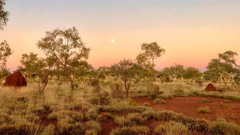 Karijini Eco Retreat