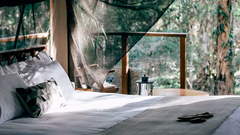 Paperbark Camp Jervis Bay