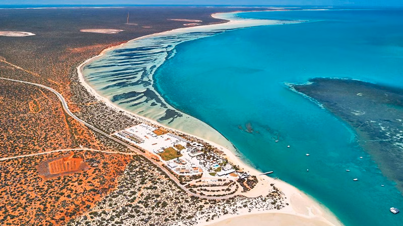 RAC Monkey Mia Dolphin Resort