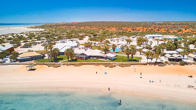 RAC Monkey Mia Dolphin Resort