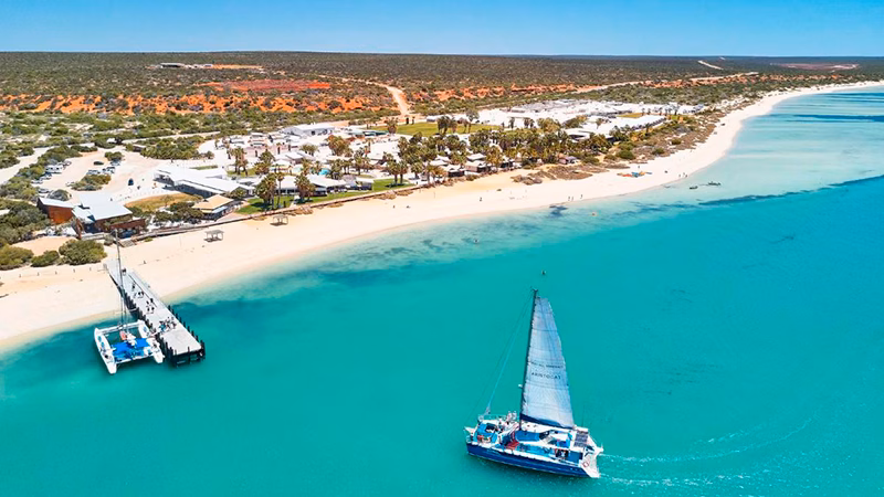 RAC Monkey Mia Dolphin Resort