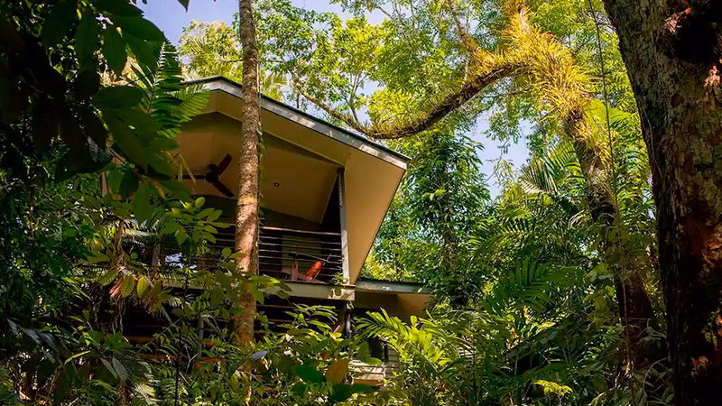 Silky Oaks Lodge Daintree Rainforest