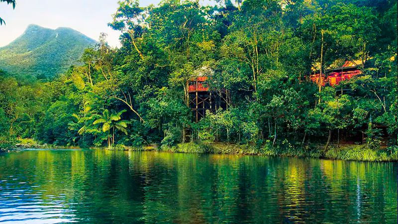 Silky Oaks Lodge Daintree Rainforest