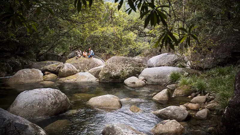 Silky Oaks Lodge Daintree Rainforest