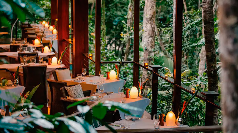 Silky Oaks Lodge Daintree Rainforest