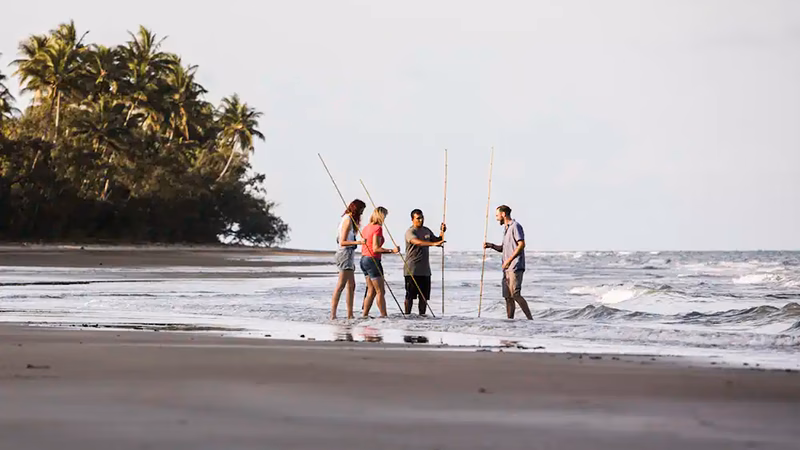 Silky Oaks Lodge Daintree Rainforest
