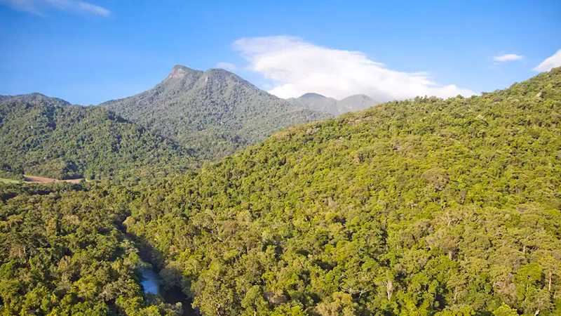 Silky Oaks Lodge Daintree Rainforest