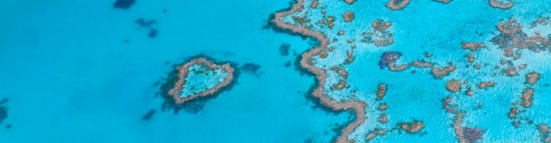 Heart Reef Australia Great Barrier Reef