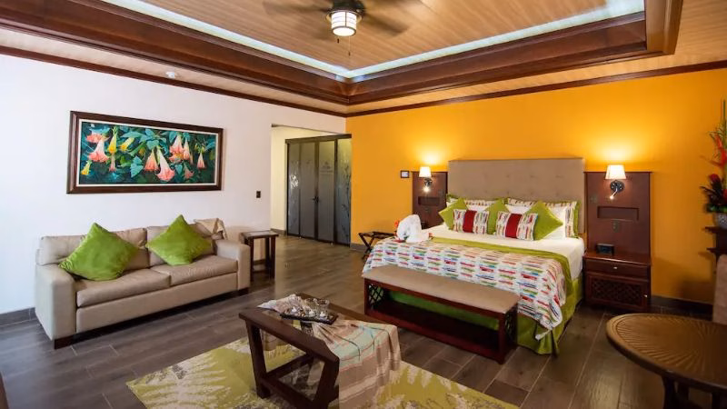 Mastersuite X