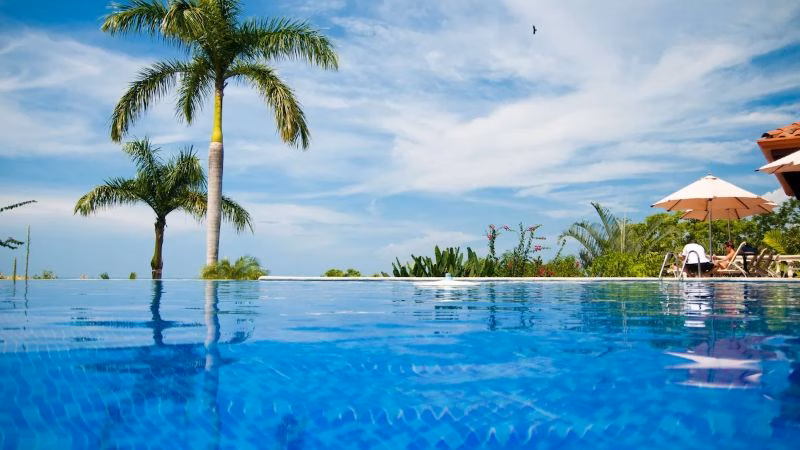 Poolview X