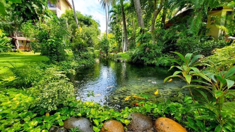 Bamboo Village Garden X