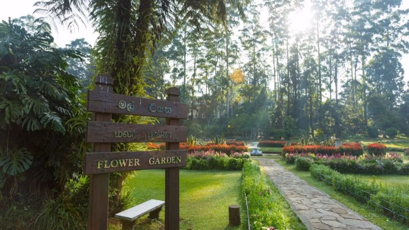 Flower Garden X