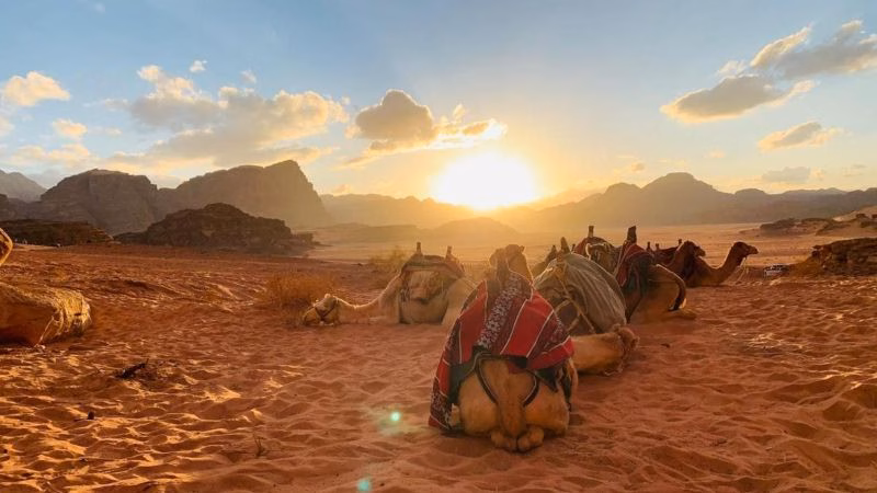 Hasan Al Zawaideh Camp