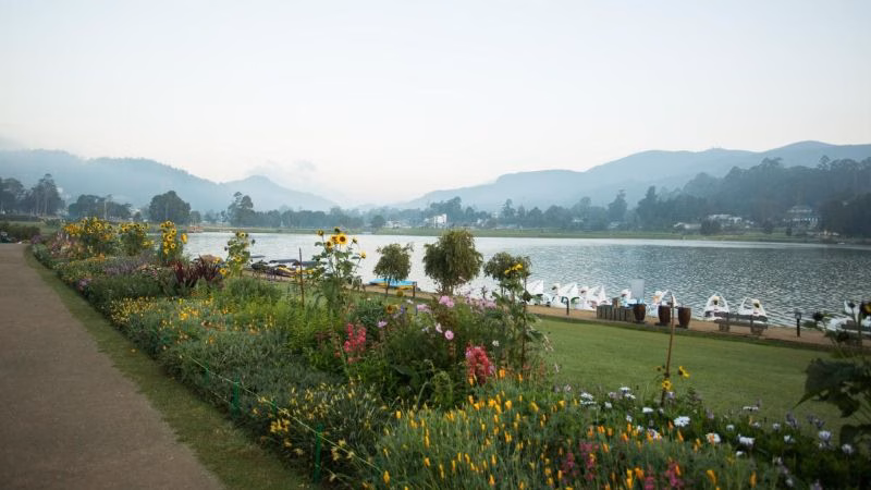 Lake X