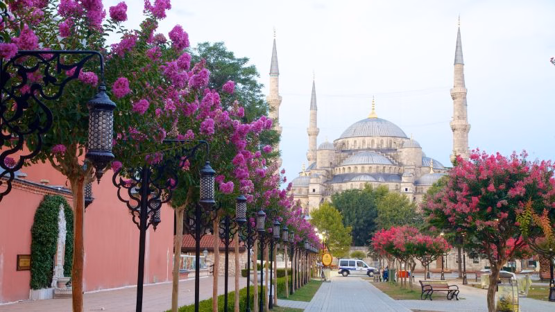 Istanbul: Den Blå Moské, Hagia Sophia og Grand Bazaar