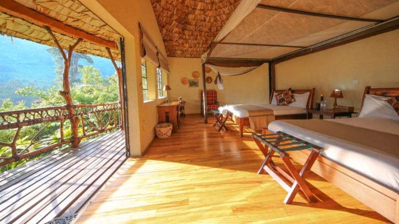 Mahogany Springs Superior X