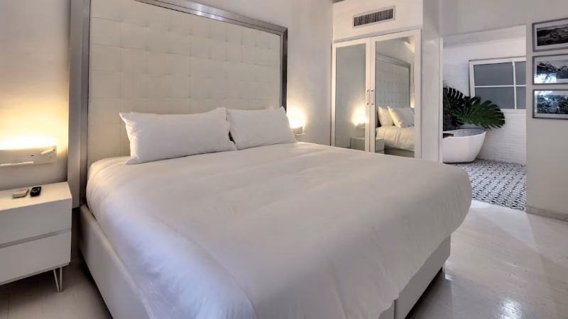 Le Cameleon Vaerelse X