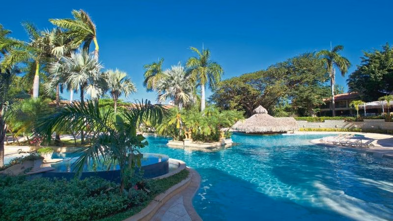 Tamarindo Pool X