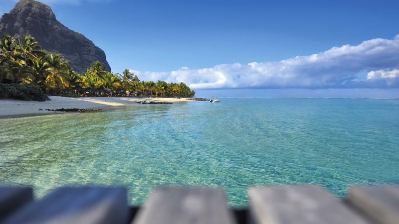 Paradis X