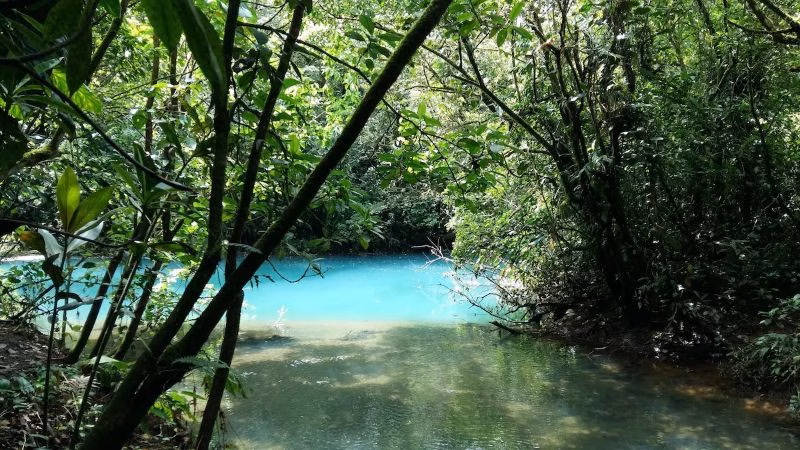 Celeste Mountain Lodge Hiking X