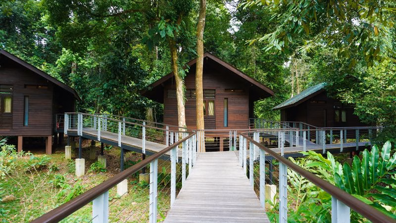 Borneo Rainforest Lodge Danum Valley