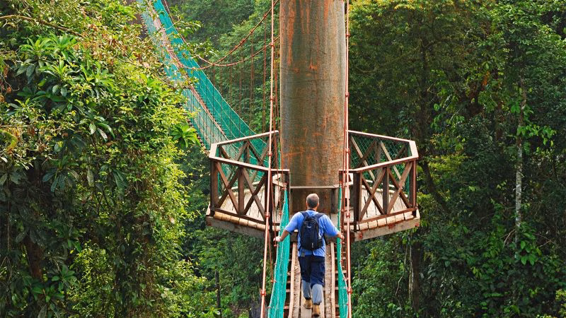 Borneo Rainforest Lodge Danum Valley