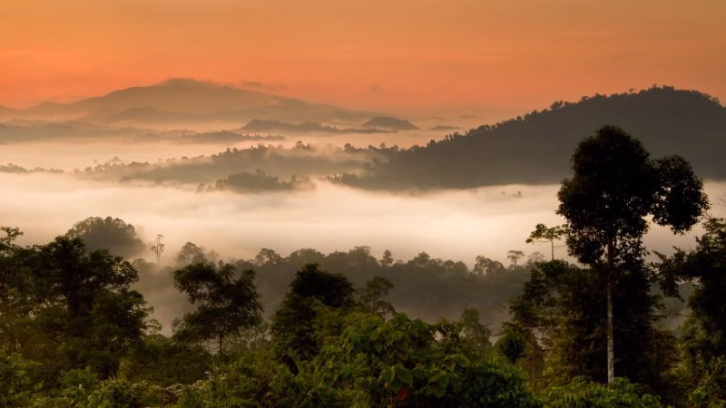 Borneo Rainforest Lodge Danum Valley