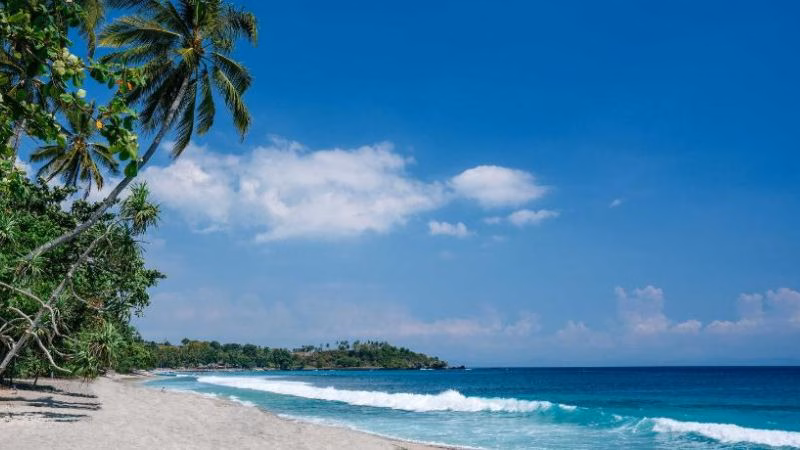 Katamaran Beach X
