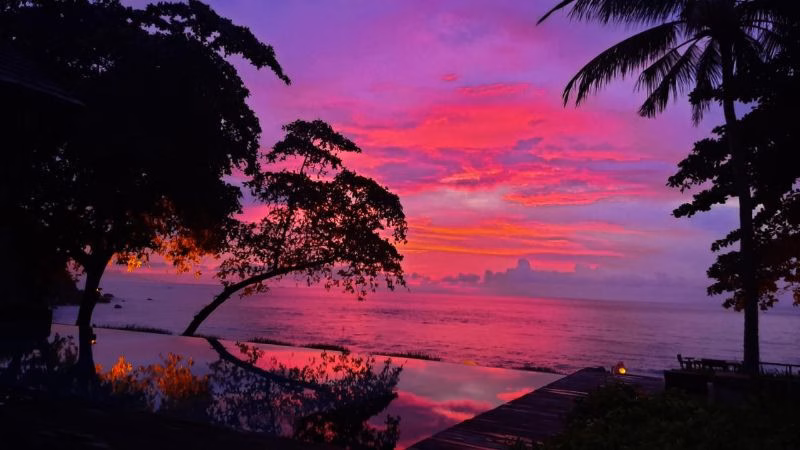 The Jeevaa Sunset X
