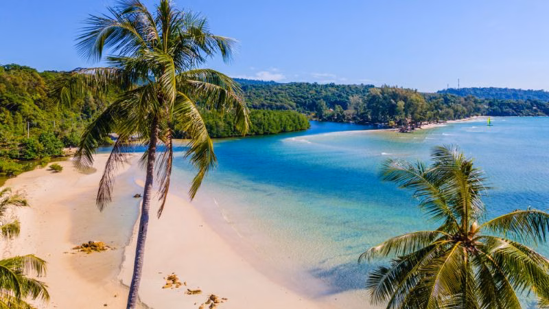 Tolani Beach Voew X