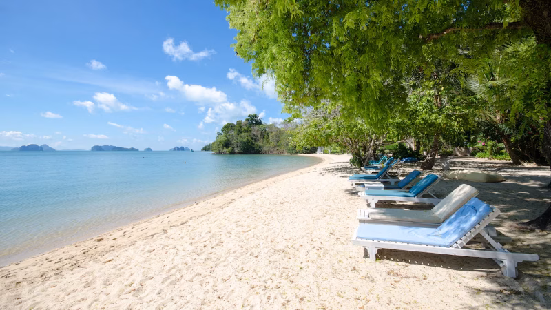 Paradise Beach X